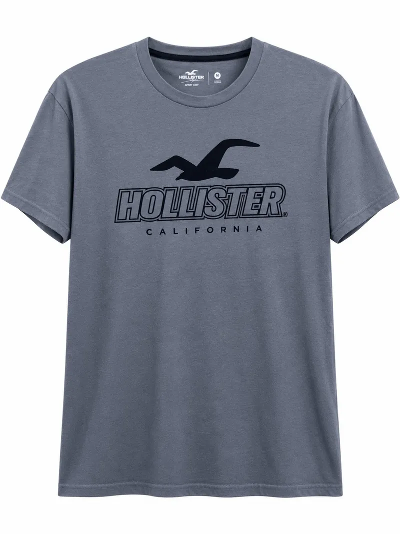 Hollister Clasic Tee